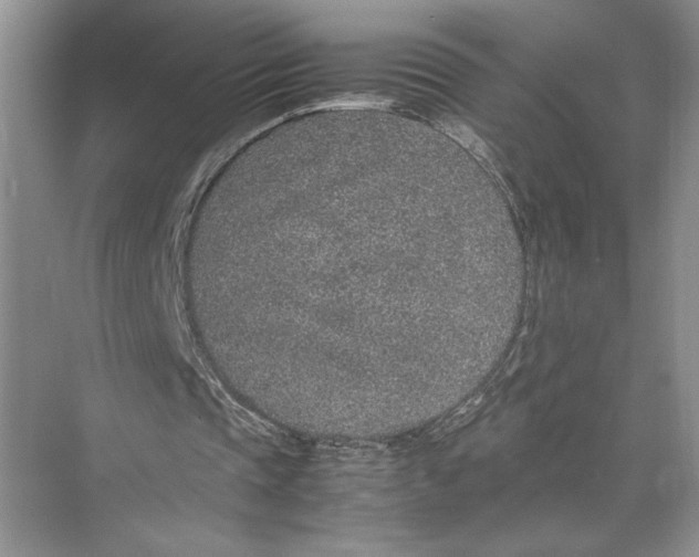 X0000074970337200609221829