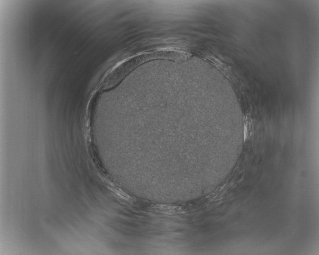 X0000074970339200609221829