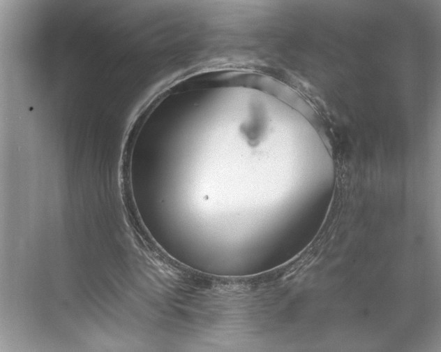 X0000074970340200609221829