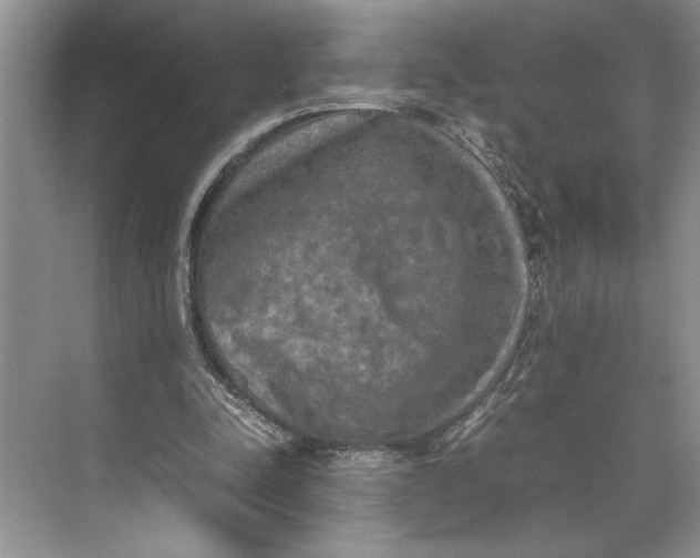 X0000074970342200609221829