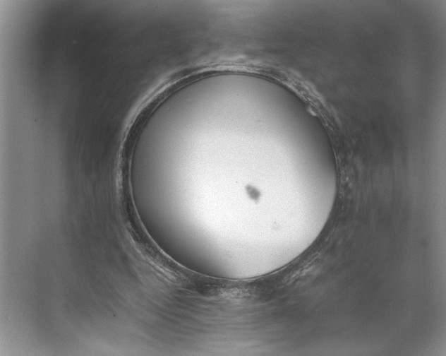 X0000074970344200609221829