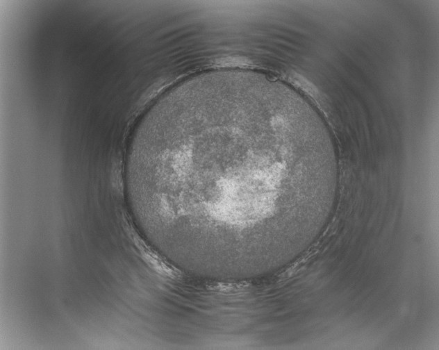 X0000074970345200609221829