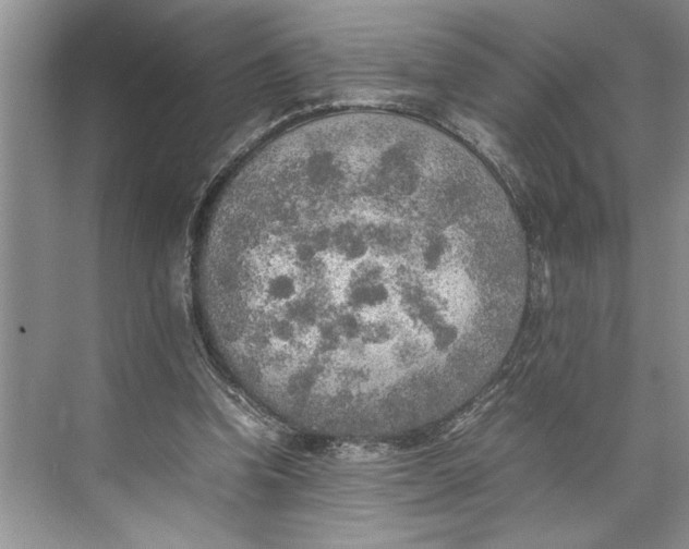 X0000074970346200609221829