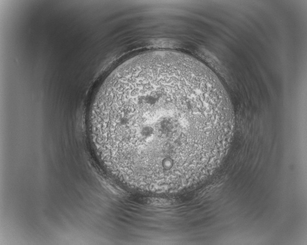 X0000074970347200609221829