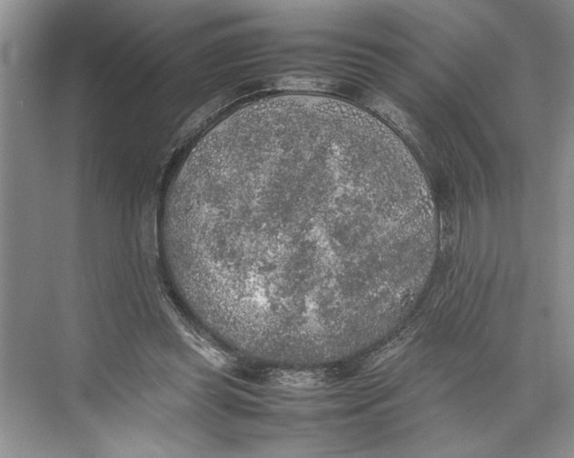 X0000074970349200609221829