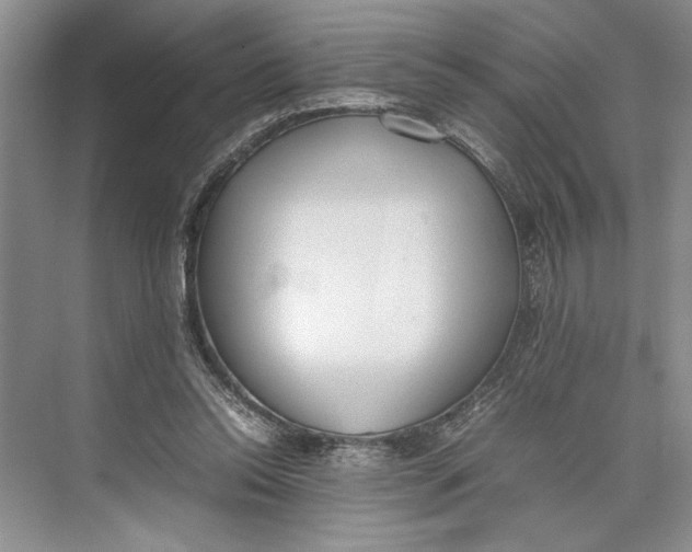 X0000074970350200609221829