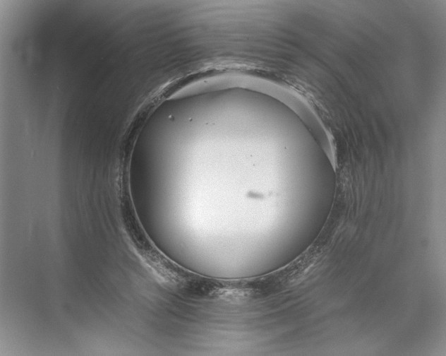 X0000074970352200609221829