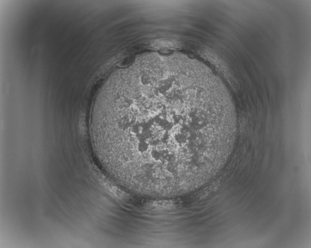 X0000074970353200609221829