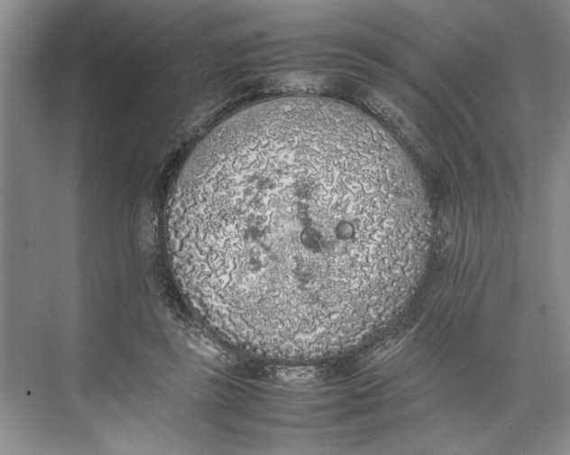 X0000074970355200609221829