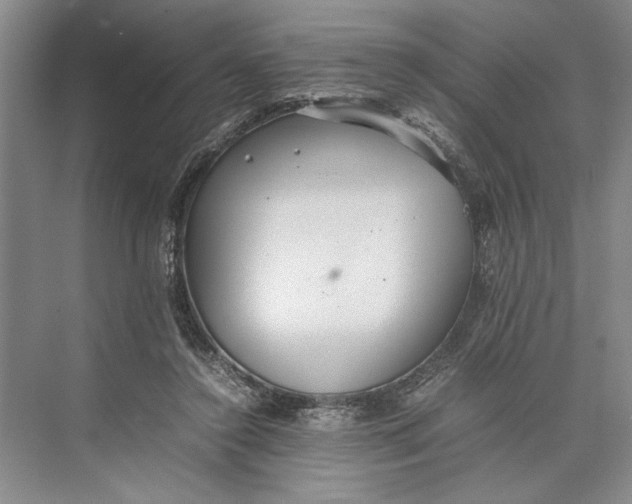 X0000074970356200609221829