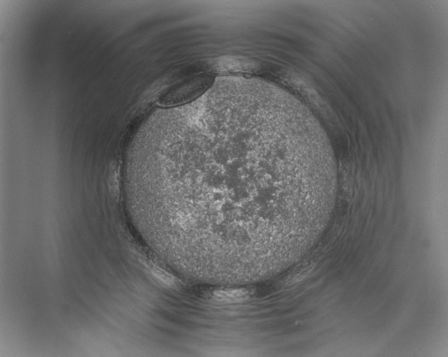 X0000074970357200609221829