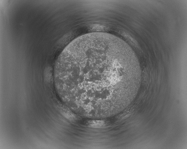 X0000074970361200609221829