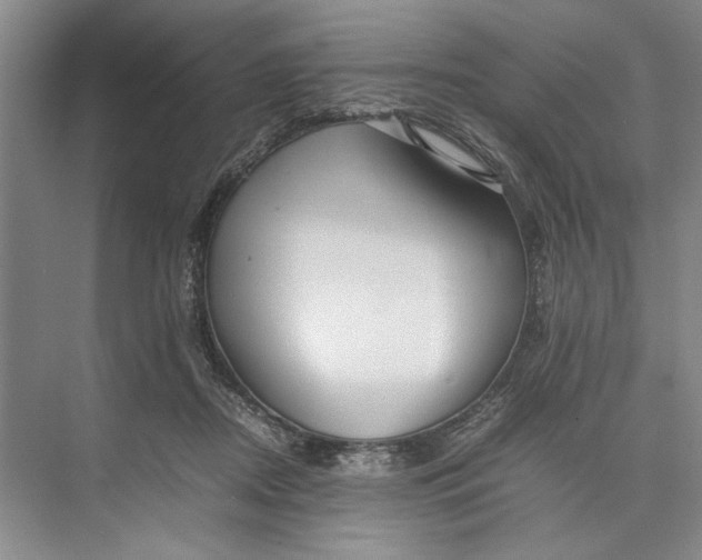 X0000074970362200609221829