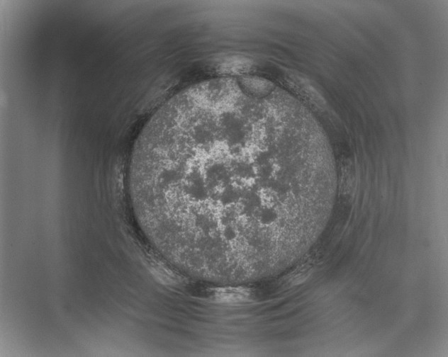 X0000074970363200609221829