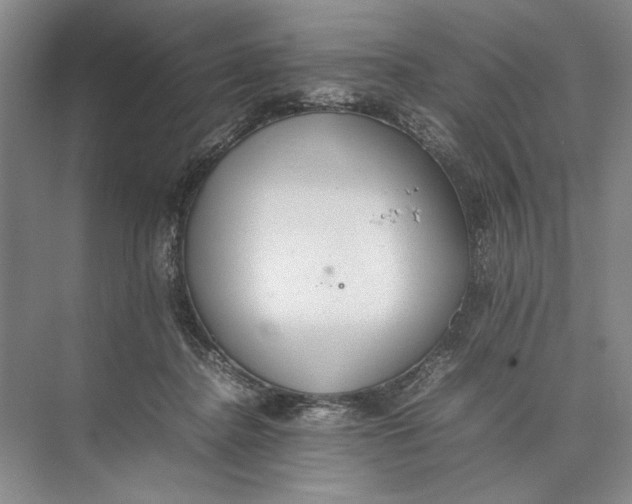 X0000074970364200609221829