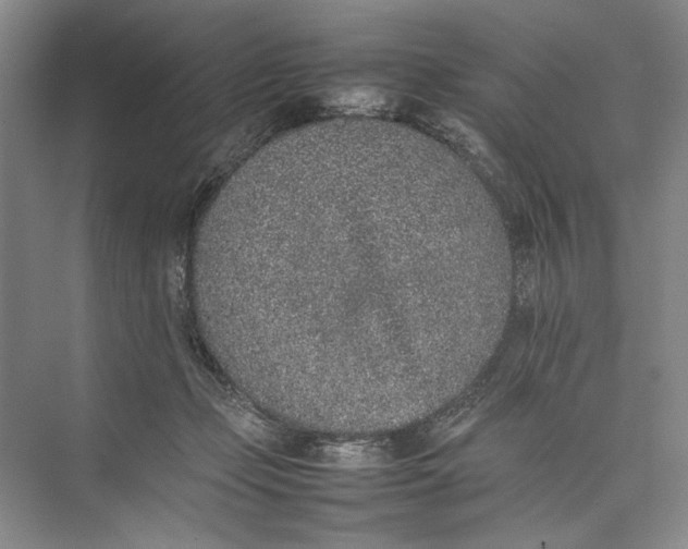 X0000074970365200609221829