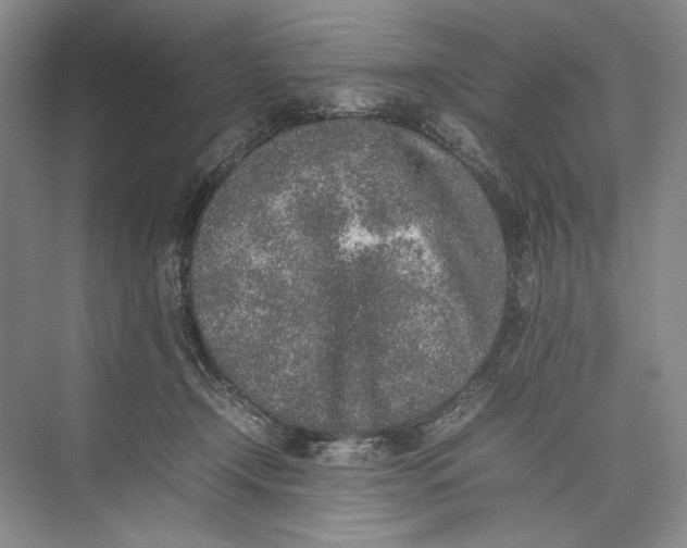 X0000074970366200609221829