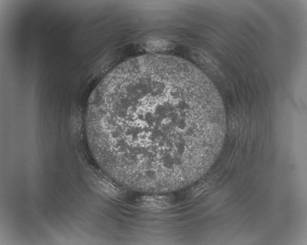 X0000074970367200609221829