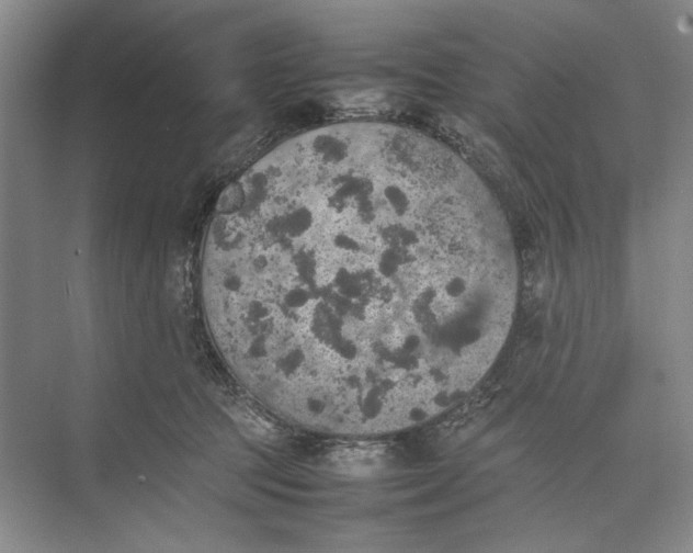 X0000074970369200609221829