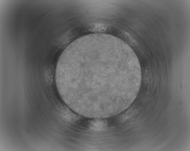 X0000074970370200609221829