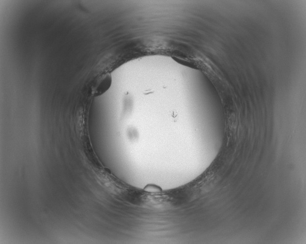 X0000074970372200609221829