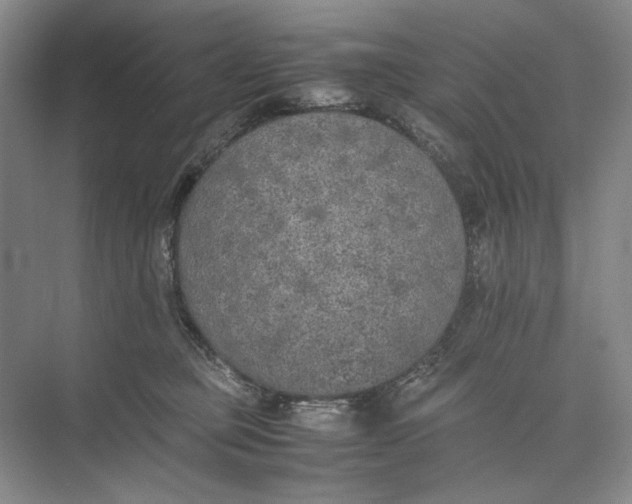 X0000074970373200609221829