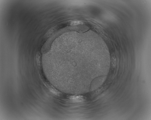 X0000074970375200609221829