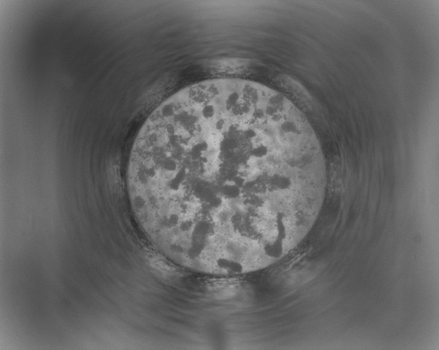 X0000074970377200609221829