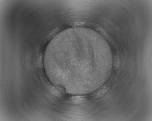 X0000074970378200609221829