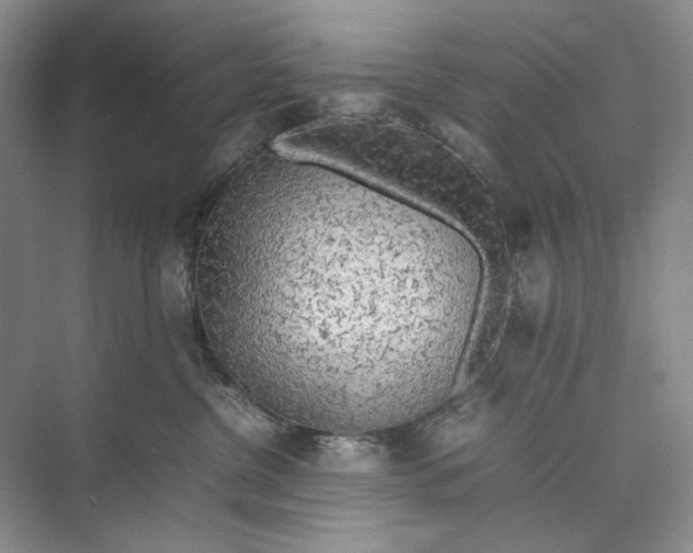 X0000074970380200609221829