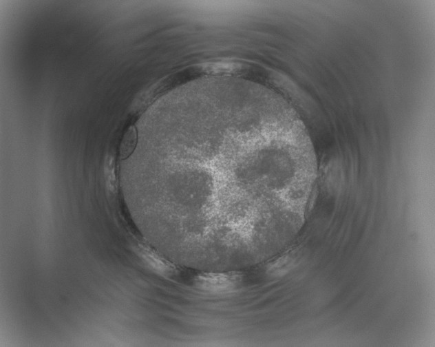 X0000074970381200609221829