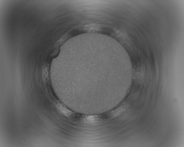 X0000074970382200609221829