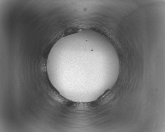 X0000074970384200609221829