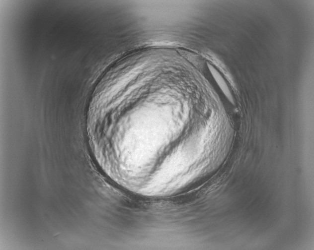 X0000074970385200609221828