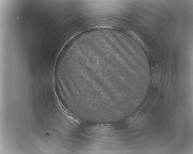 X0000074970386200609221828