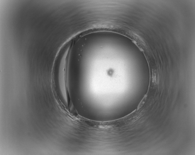 X0000074970388200609221828