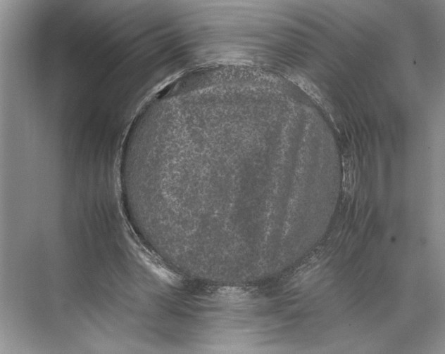 X0000074970390200609221828