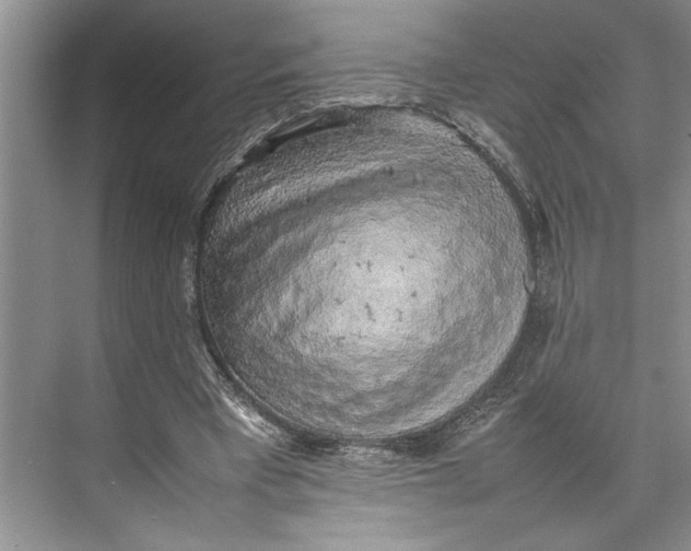 X0000074970393200609221828