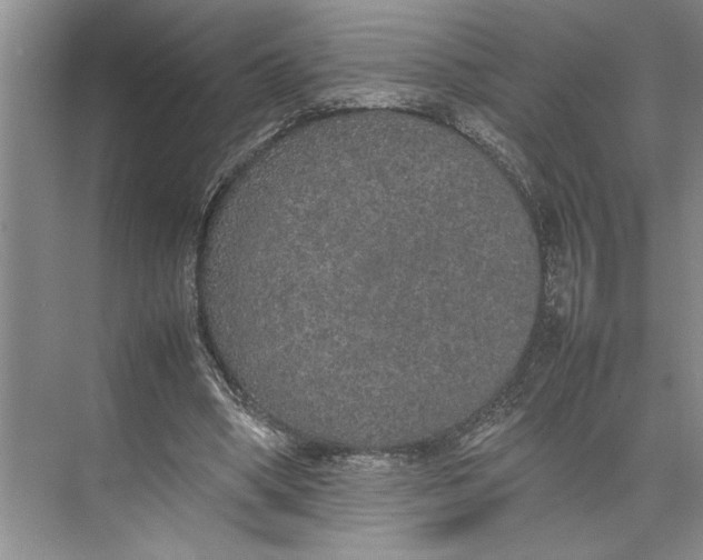 X0000074970394200609221828