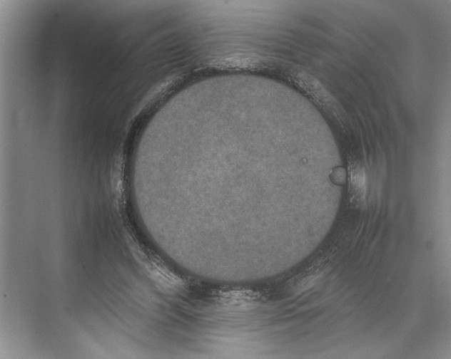 X0000074970396200609221828