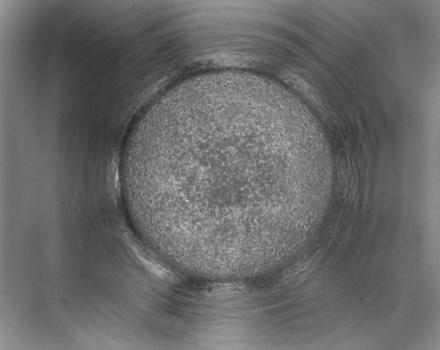 X0000074970398200609221828