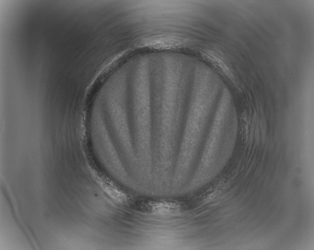 X0000074970400200609221828