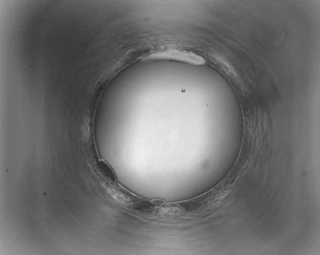 X0000074970401200609221828