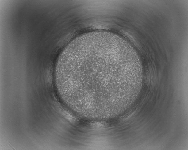 X0000074970402200609221828