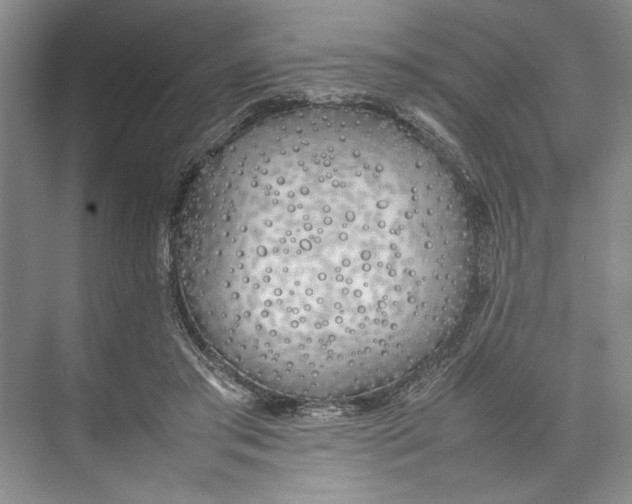 X0000074970405200609221828