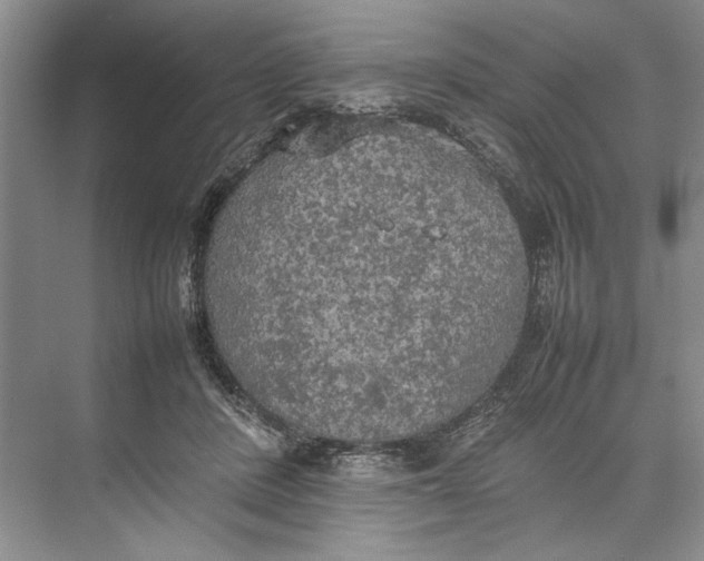 X0000074970408200609221828