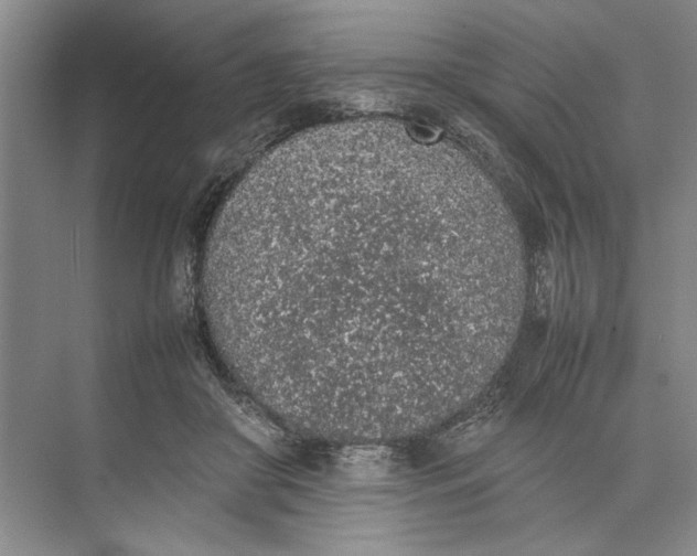 X0000074970410200609221828