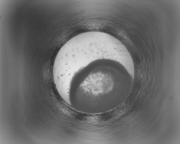 X0000074970411200609221828