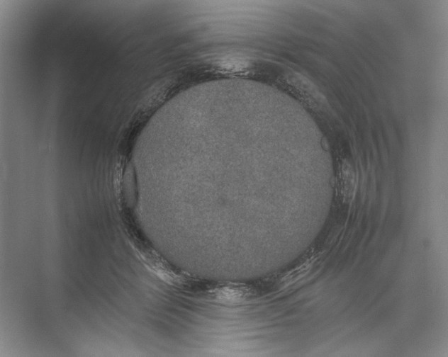 X0000074970412200609221828