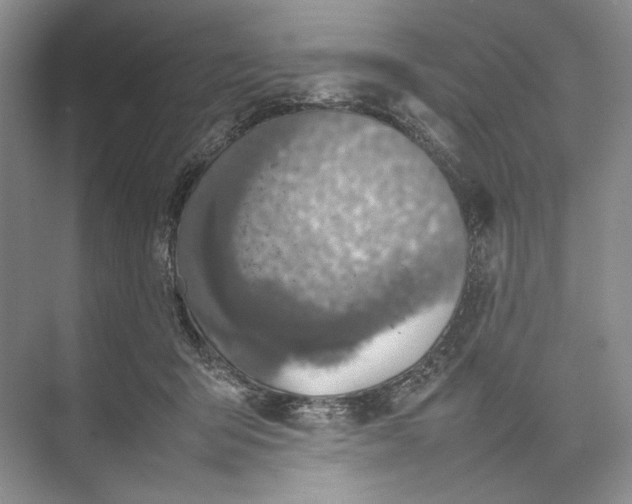 X0000074970415200609221828